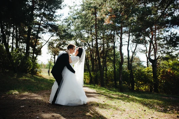Vackra bröllop par poserar — Stockfoto