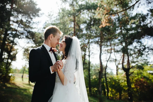 Vackra bröllop par poserar — Stockfoto