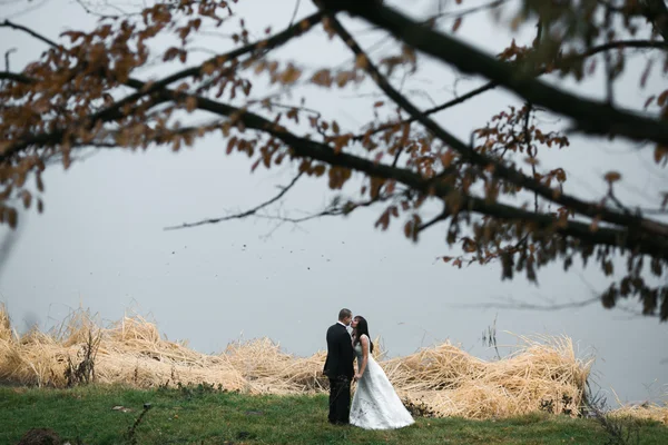 Pareja de boda en la orilla del lago — Foto de Stock