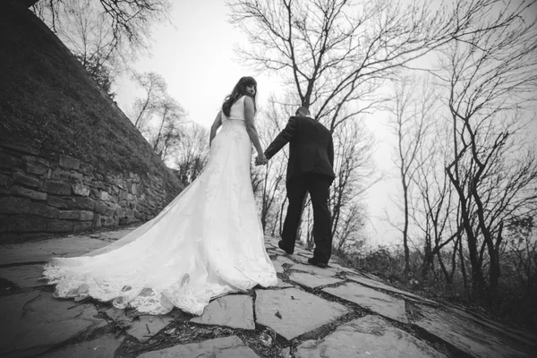 Happy bride and groom walking — Stock Photo, Image