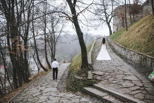 Glückliche Braut und Bräutigam posiert — Stockfoto