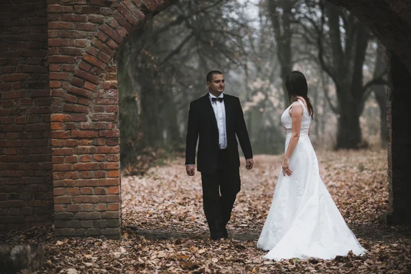 Glückliches Brautpaar posiert im herbstlichen Wald — Stockfoto