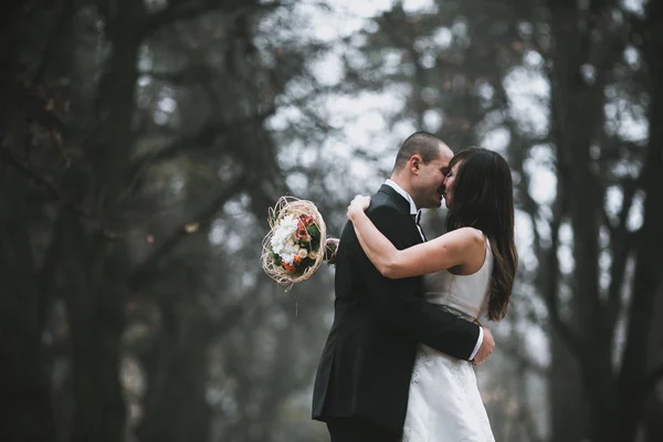 Happy bride and groom kissing in the autumn forest — Stock Photo, Image