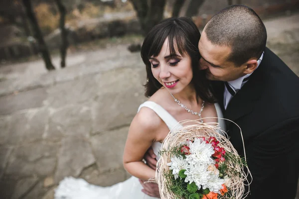 Bridal couple close to each other Stock Image