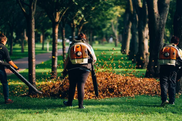 People operating a heavy duty leaf blower.