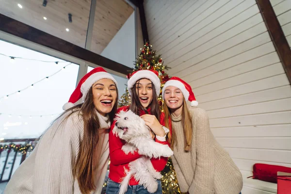 Flera tjejer leker med en liten hund på nyårsafton — Stockfoto