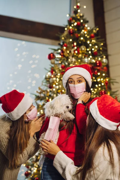 Flera tjejer leker med en liten hund på nyårsafton — Stockfoto