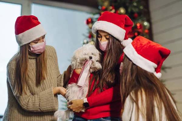 Flera tjejer leker med en liten hund på nyårsafton — Stockfoto