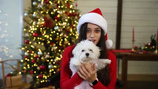 Chica sosteniendo un pequeño perro en sus brazos en la víspera de año nuevo — Vídeos de Stock