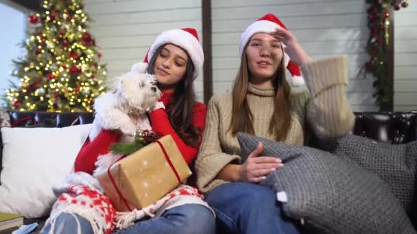 Duas meninas com um pequeno cão estão sentadas no sofá na véspera de Ano Novo. — Vídeo de Stock