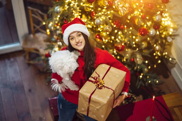 Das Mädchen mit einem Geschenk und einem kleinen Hund am Weihnachtsbaum — Stockfoto
