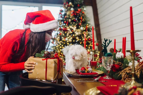 Тер'єр на різдвяному столі, дівчина стоїть поруч і тримає подарунок — стокове фото