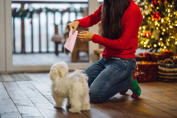 Pada Malam Tahun Baru, seorang wanita bermain dengan anjing kecil. — Stok Foto