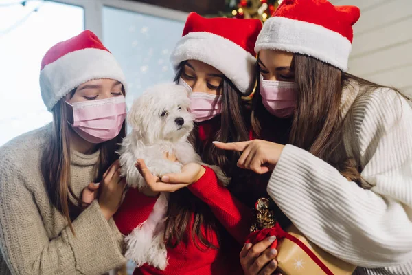 Tre tjejer och en terrier poserar för kameran på nyårsafton — Stockfoto