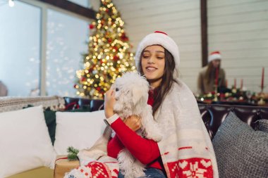 Kollarında küçük bir köpek olan kız yeni yıl arifesinde kanepede oturur.