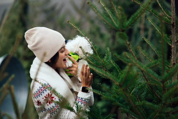 Kvinna med en vit hund i famnen nära en grön julgran — Stockfoto