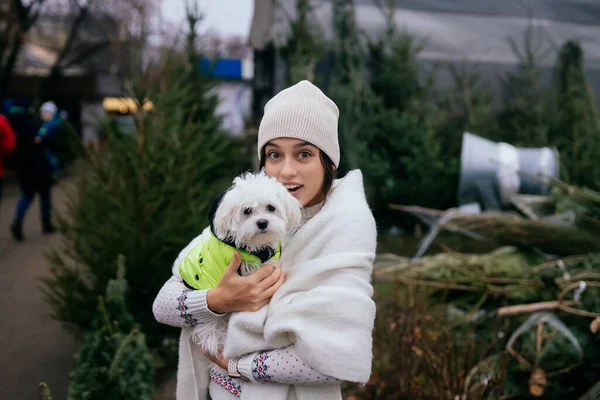 สาวสวยกับสุนัขสีขาว — ภาพถ่ายสต็อก