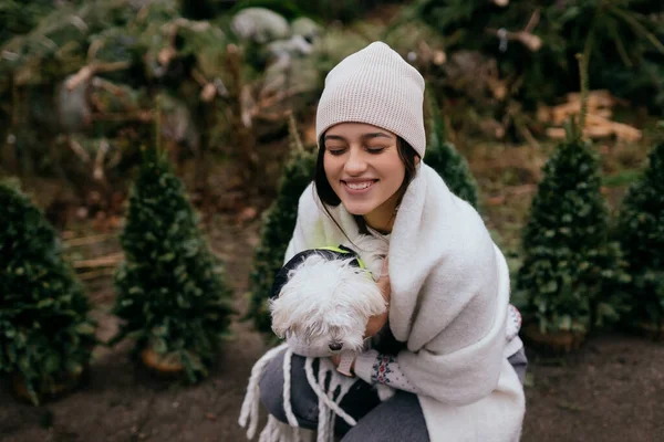 Mulher com um cão branco nos braços perto de uma árvore de Natal verde — Fotografia de Stock