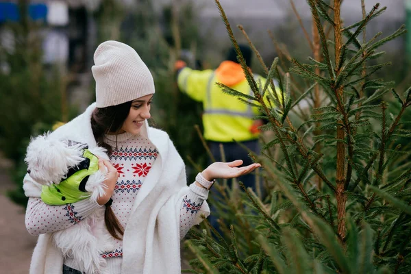 Wanita dengan anjing putih dalam pelukannya dekat pohon Natal hijau — Stok Foto