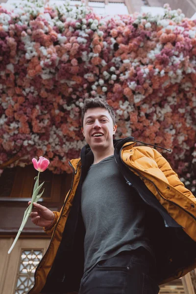 Stilig man har en blomma, rosa tulpan till flickvän — Stockfoto