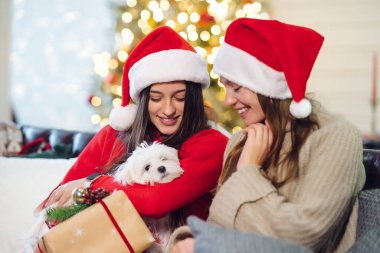 Yeni yıl arifesinde küçük bir köpeği olan iki kız kanepede oturuyor..