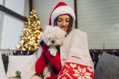 Kollarında küçük bir köpek olan kız yeni yıl arifesinde kanepede oturur.