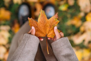 Sonbahar yaprakları kızların ellerinde.