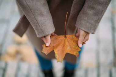 Sonbahar yaprakları kızların ellerinde.