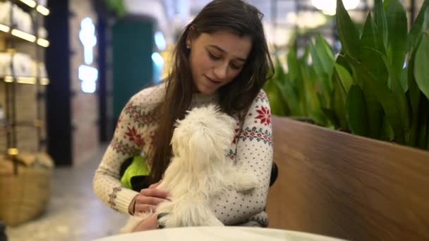 Красивая женщина держит свою милую собаку в кафе — стоковое видео