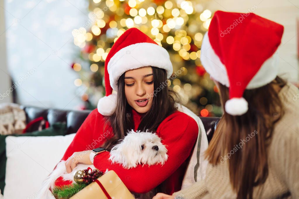 Two girls with a small dog are sitting on the couch on New Years Eve.