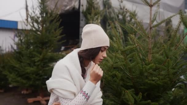 Donna con un cane bianco tra le braccia vicino a un albero di Natale verde — Video Stock