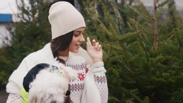 Yeşil bir Noel ağacının yanında kollarında beyaz bir köpek olan bir kadın. — Stok video