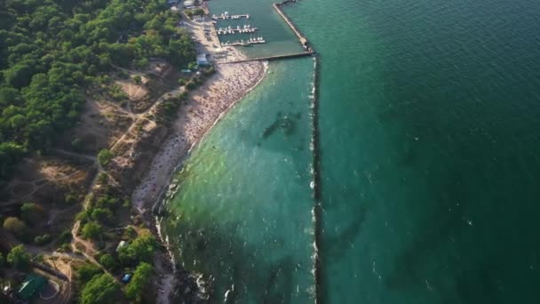 Vista aérea de la multitud de personas en la playa — Vídeo de stock