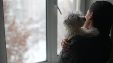 Pencereden bakan sevimli köpeğe sarılan bir kadın..