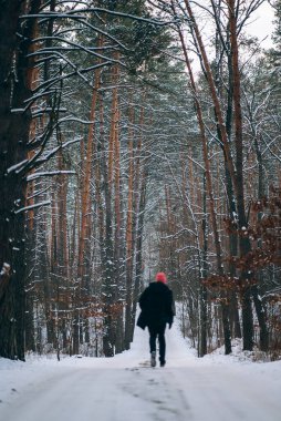 Ormanın ortasında, karla çevrili bir yolda duran bir adam.