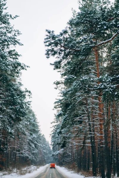 Carro em movimento em uma estrada florestal na neve — Fotografia de Stock