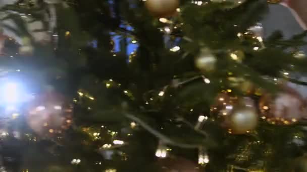 Mulheres muito atraentes decora a árvore de Natal com bolas — Vídeo de Stock