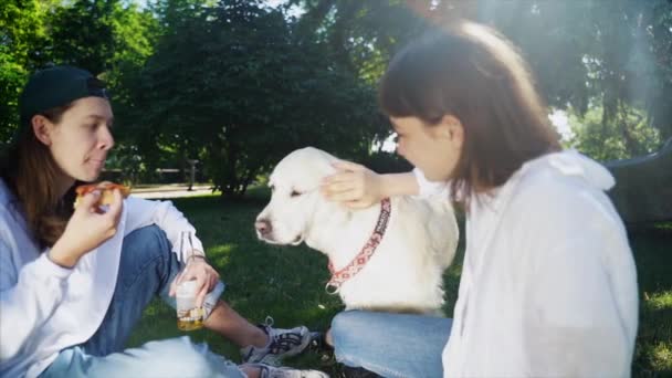 Companhia de belos jovens e cão tendo um almoço ao ar livre. — Vídeo de Stock