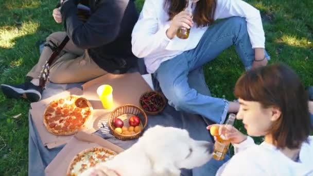 Companhia de belos jovens e cão tendo um almoço ao ar livre. — Vídeo de Stock