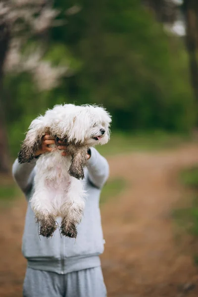 Όμορφη γυναίκα κρατά ένα σκυλί στην αγκαλιά της — Φωτογραφία Αρχείου