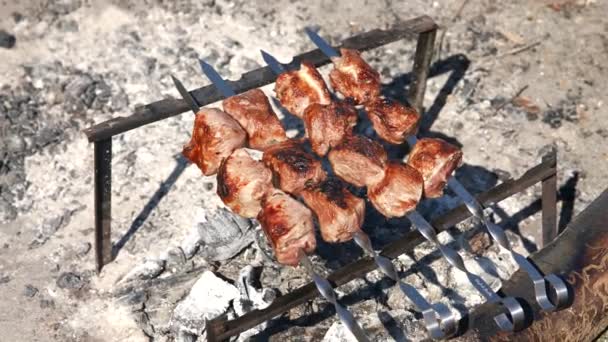 Grill season outdoor in park. Spring summer grilling. — Stock Video
