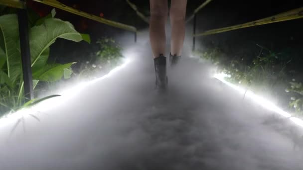 Девушка входит в оранжерею, туман распространяется по земле — стоковое видео