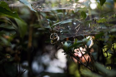 Evlilik yüzükleri.