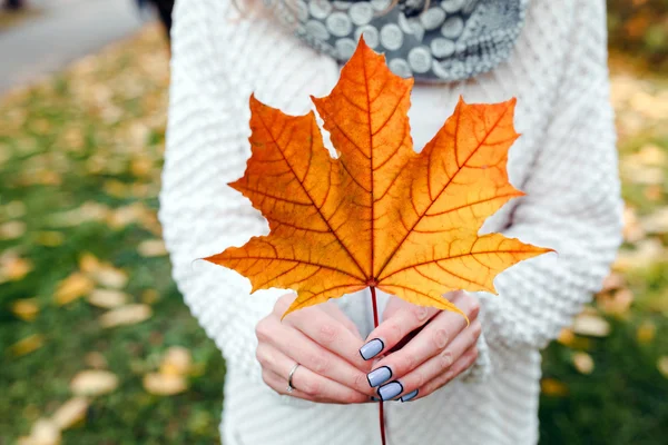 Leave in  hands — Stock Photo, Image