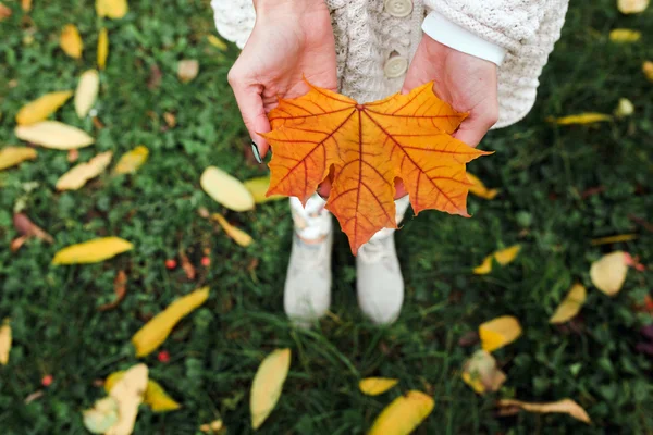 Leave in  hands — Stock Photo, Image