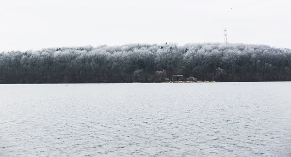 Lago e foresta congelati — Foto Stock