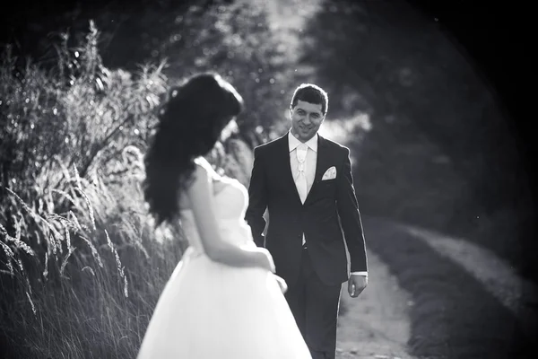 Preciosa pareja pasa tiempo en el campo —  Fotos de Stock