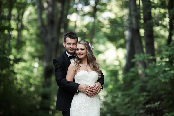 Schönes Hochzeitspaar — Stockfoto