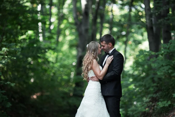 Mooi bruidspaar — Stockfoto