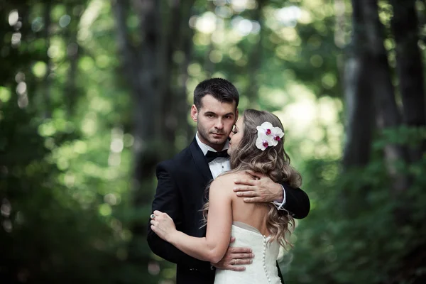 Hermosa pareja de boda —  Fotos de Stock